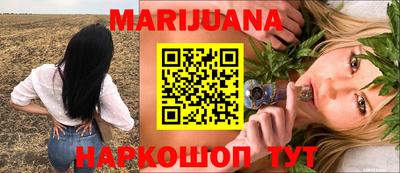 Альфа ПВП Ставрополь