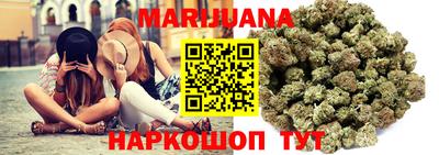 Альфа ПВП Ставрополь